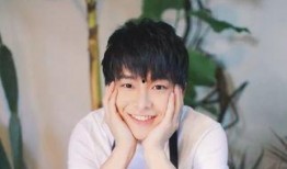 男星菜菜八卦爆料视频大全,视频大全背后的精彩故事